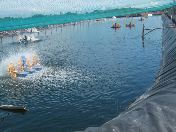 哪些優(yōu)勢(shì)是促進(jìn)水產(chǎn)養(yǎng)殖膜使用的關(guān)鍵點(diǎn)？