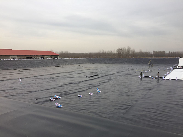 養(yǎng)殖業(yè)朋友注意了：如何延長防滲土工膜使用壽命？