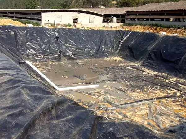 選擇魚塘防滲膜可參考哪幾點因素？