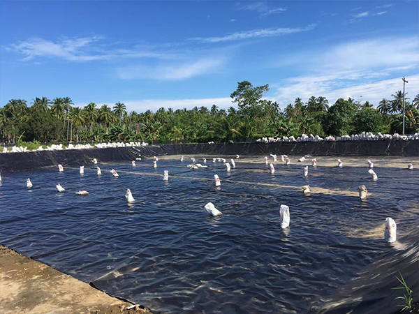 確保防滲膜的化學(xué)性質(zhì)穩(wěn)定性至關(guān)重要。