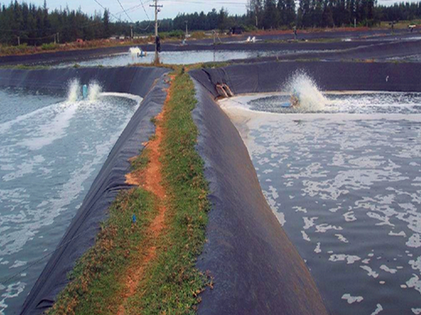 蓄水池鋪設(shè)防滲土工膜需要考慮哪些設(shè)計(jì)要點(diǎn)？