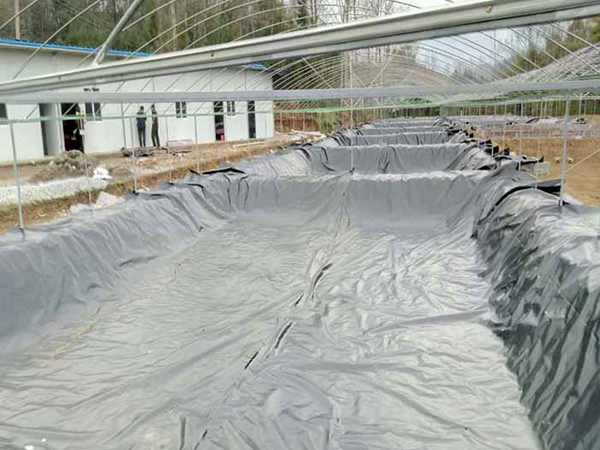 魚塘防滲土工膜使用優(yōu)勢(shì)都有哪些？
