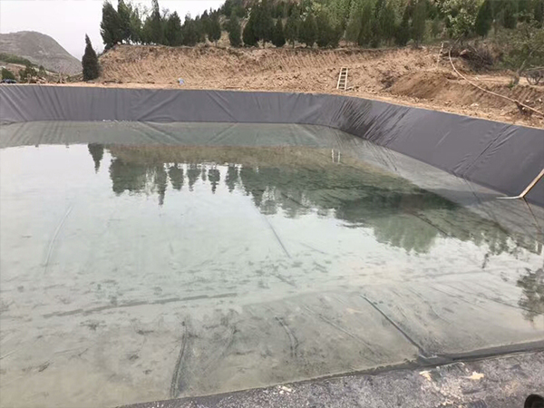 水產土工膜在藕池建設中充當怎樣的角色？