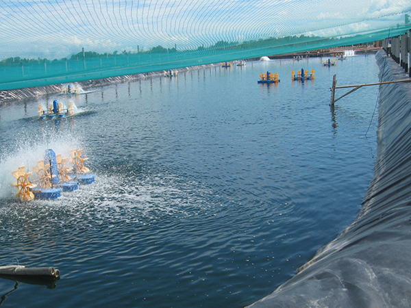 水產(chǎn)土工膜施工過(guò)程中該如何進(jìn)行基面清潔？