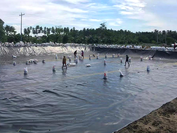 冬季該如何進行養(yǎng)殖防滲膜的鋪設(shè)？