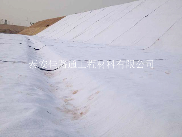 標(biāo)題：輕松駕馭，復(fù)合土工布搬運(yùn)新技巧大揭秘