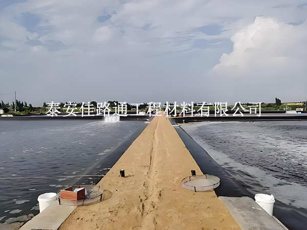 水產(chǎn)養(yǎng)殖防滲膜錨固施工方法:簡(jiǎn)單新穎的實(shí)踐指南 水產(chǎn)養(yǎng)殖防滲膜錨固施工方法:簡(jiǎn)單新穎的實(shí)踐指南