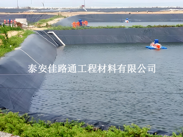 魚塘防滲膜：對(duì)魚兒生長的微妙影響