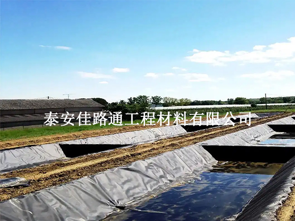 水產(chǎn)養(yǎng)殖防滲膜鋪裝技術(shù)要求:構(gòu)建高效防水屏障 水產(chǎn)養(yǎng)殖防滲膜鋪裝技術(shù)要求:構(gòu)建高效防水屏障