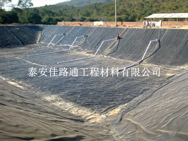 水產(chǎn)養(yǎng)殖防滲膜鋪設(shè)施工技巧：精準(zhǔn)高效，守護(hù)養(yǎng)殖綠洲