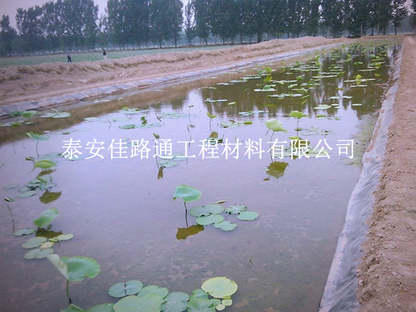 養(yǎng)殖防滲膜施工質(zhì)量咋檢測(cè)？這些技巧要掌握